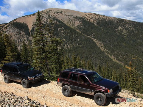 wj
