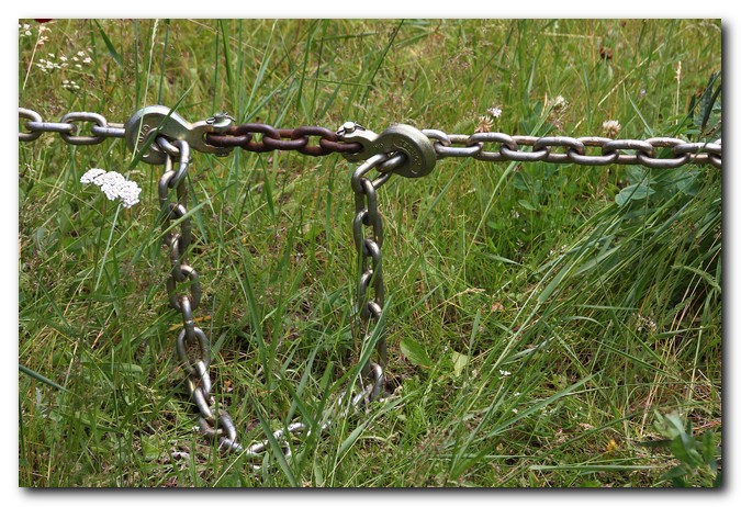 4link